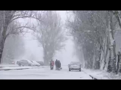 इन्फ्रारेड और नकारात्मक आयन समारोह के साथ भारित कंधे और गर्दन हीटिंग पैड